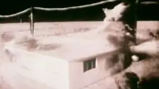 Atomic Bomb Test (free stock footage)