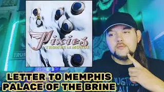 Drummer reacts to 