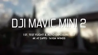 DJI MINI 2 - First Flight Test and Auto Exposure Test - Guelph Ontario