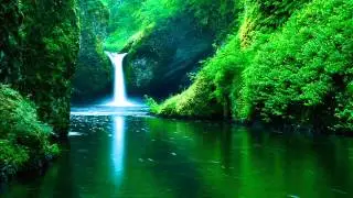 Lightstep - Wilderness