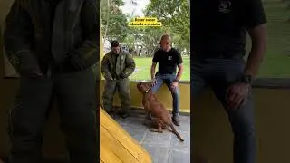 #boxer me protege quando tentam me agarrar