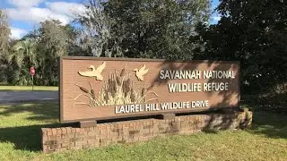 Savannah National Wildlife Refuge: Hidden Wildlife Paradise