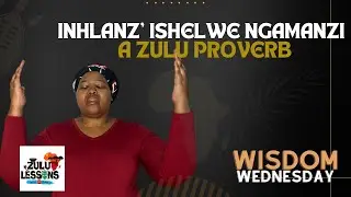 What 'Inhlanzi Ishelwe Ngamanzi' Really Means: Understanding Zulu Proverbs | ZuluLessons.com