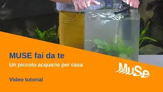 MUSE fai da te - Un piccolo acquario per casa