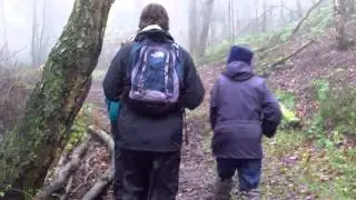 Walking in the Ercall Woods
