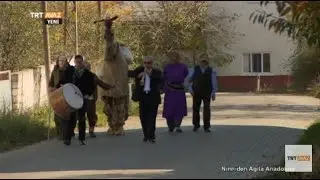 Edirne'de Deve Oyunu İşte Böyle Oynanıyor - Musulca Köyü - TRT Avaz