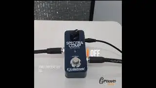 Bass compressor Spectra comp TC - Groove bass store