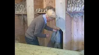 Flax Mill - Scutching and Linen Production