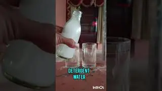 Detergent + water and cooking oil experiment #shorts #science