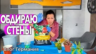 Опять РЕМОНТ / Спасаю ЦВЕТЫ / Тестирую покупки