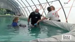 SO TINY! Adorable pygmy killer whales rescued off coast of Mississippi