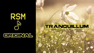 RSM - Tranquillum - Relaxing Music