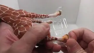 Schleich Female Giraffe Toy Unboxing