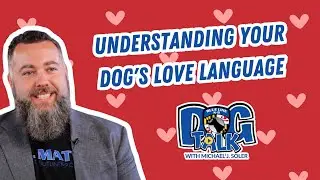 Does Your Dog Feel Loved? Understanding Your Dog's Love Language | Expert Dog Training