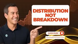 Market Distribution: Why Weak Employment and Fading Cycles Matter More Than Headlines