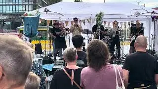 The Hornettes - Molehole (LIVE at KBP 2024)