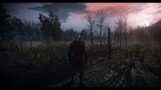 Witcher 3 