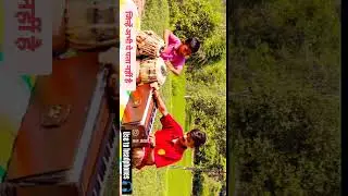 tabla Vs harmonium #tabla #harmonium #chhote #ustad #gazal #natural #youtube #shorts #status