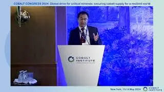 Expert presentation: Focus on China, by Dr Yanchen Wang, Director, Shanghai Metals Market