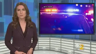 CPD: 9 Homicides In Chicago's Deadliest Weekend Of The Year