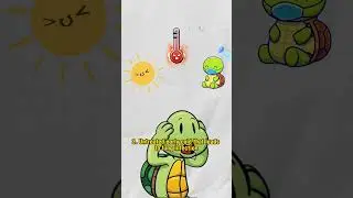 Turtle Disease Symptoms