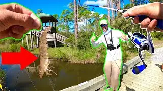 Using LIVE SHRIMP For SURPRISE Catch!!! FT. Bama Beach Bum!