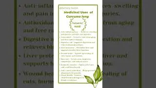 Benefits of Turmeric: The Golden Healer | Medicinal Uses of Curcuma longa #tumericbenefits #nature