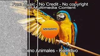 Free - Como Animales - Kolektivo (No Copyright)