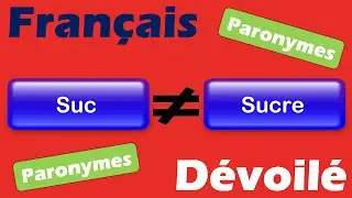 Suc et Sucre (Paronymes)