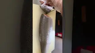 #kingsalmon #fish