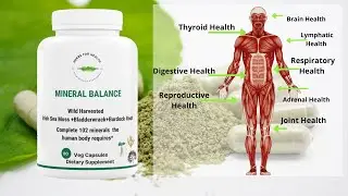 The Benefits Of Herbs For Health Mineral Balance | Benefits of Seamoss, Bladderwrack, Burdock Root