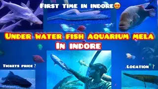 Under Water Fish Aquarium Mela in indore 😍| Ticket price | location |#aquarium #indore