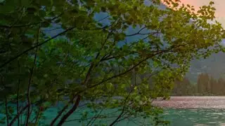 3 Hours silent deep focus visuals as we explore nature