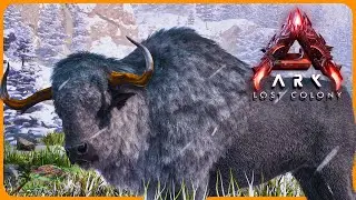 Bison Troll My ENTIRE Playthrough! | Lost Colony #5
