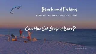 Can You Eat Striped Bass?