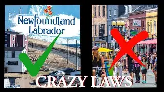 The Weird and Crazy Laws Of Canada || #newfoundland Edition #facts #canada #canadian