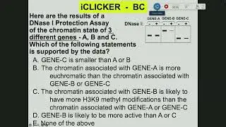 Lecture 4 DNA Replication & Telemorase  10/7/2025