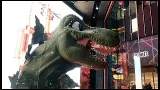 In the biggest giraffe 🦒#amsrgiraffeviralshortvideo