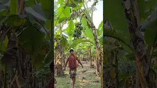 How banana are cut, (part 3243)🍌😱 #banana #shorts #viral #youtubeshorts #trending