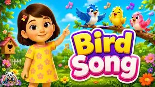 Mimmi&rsquo;s Tweet Tweet Friends 🐦 | Bird Song for Kids | Learn Bird Names & Sounds