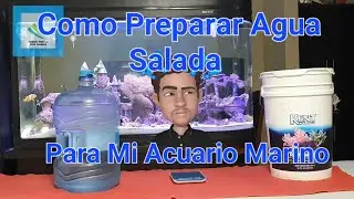Como preparar agua para mi acuario marino | comprarla o prepararla|🧐