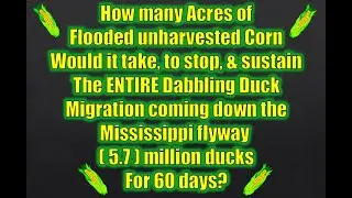 How many acres would it take to alter or stop the Dabbling Duck Migration