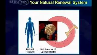 Stemtech - Business Part 1  www.stemnutrition.com