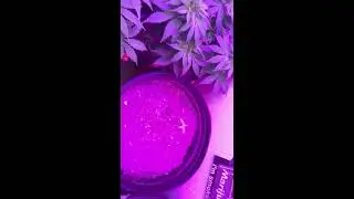 TheGLab update