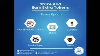 Stake Cardano with ADRIA pool and earn World Mobile Token, Sundae Swap, NuNet and Hosky