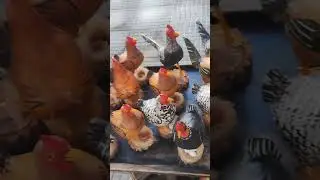 Rua 3 com a Av GOI&Aacute;S em Goi&acirc;nia GO