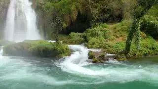 Forest Water Stream Nature Sound | Relaxing Stream Sounds Sleep Meditate Yoga 10 hours