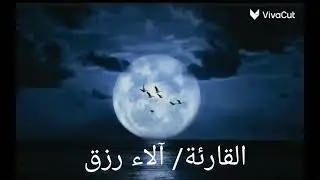 ١١ ديسمبر ٢٠٢٥