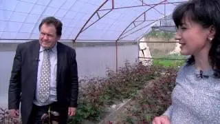 Ora suburbiei: Bubuieci