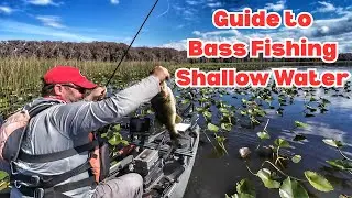 Tips and Tricks to Bass Fishing in Shallow Water